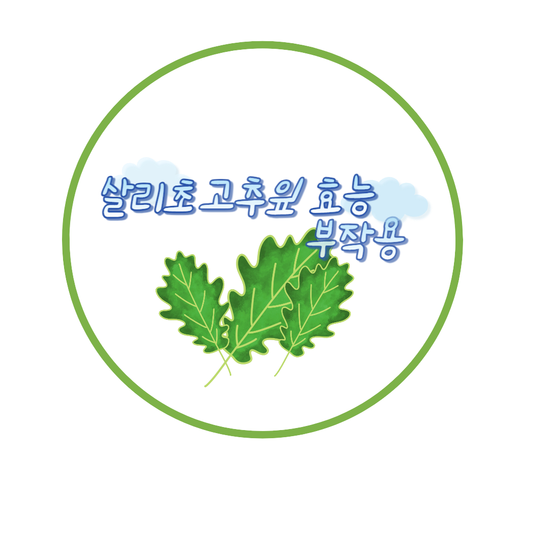  살리초 효능및 고추잎 씨앗 모종 부작용