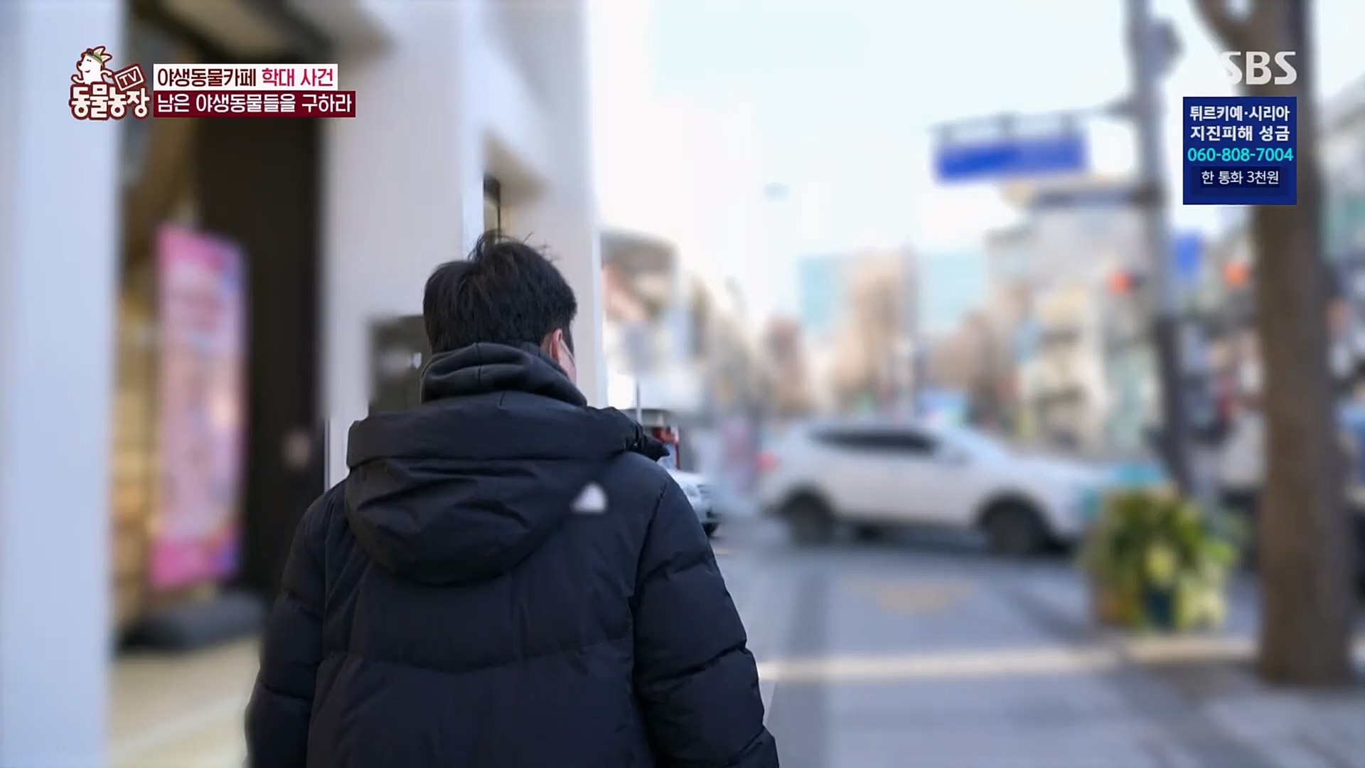 TV 동물농장.E1108.230212p.H264-F1RST.mp4_20230212_182159.757.jpg