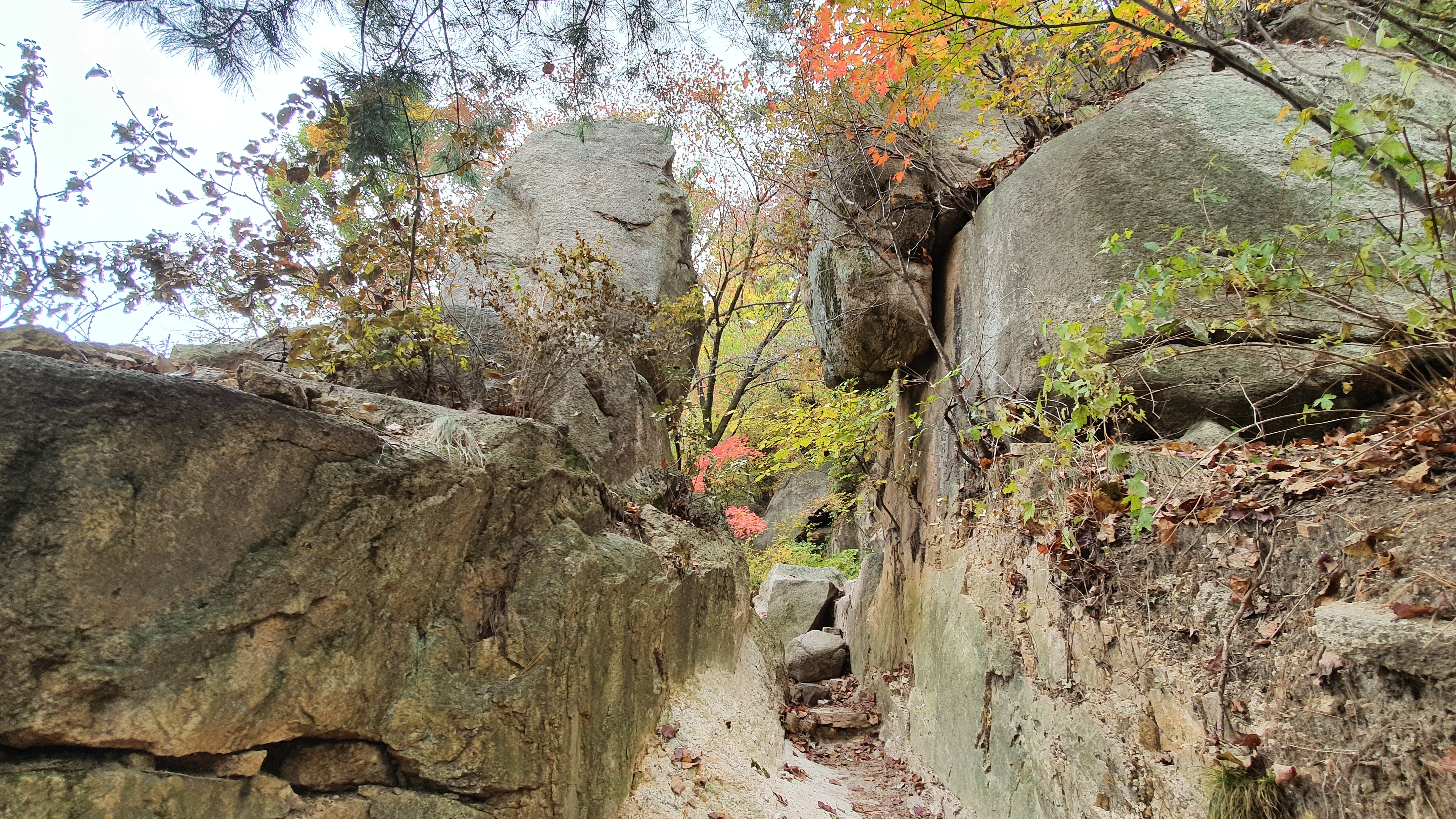 북한산 (2020-10-21) 37