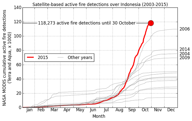 인도네시아의 거대한 산불