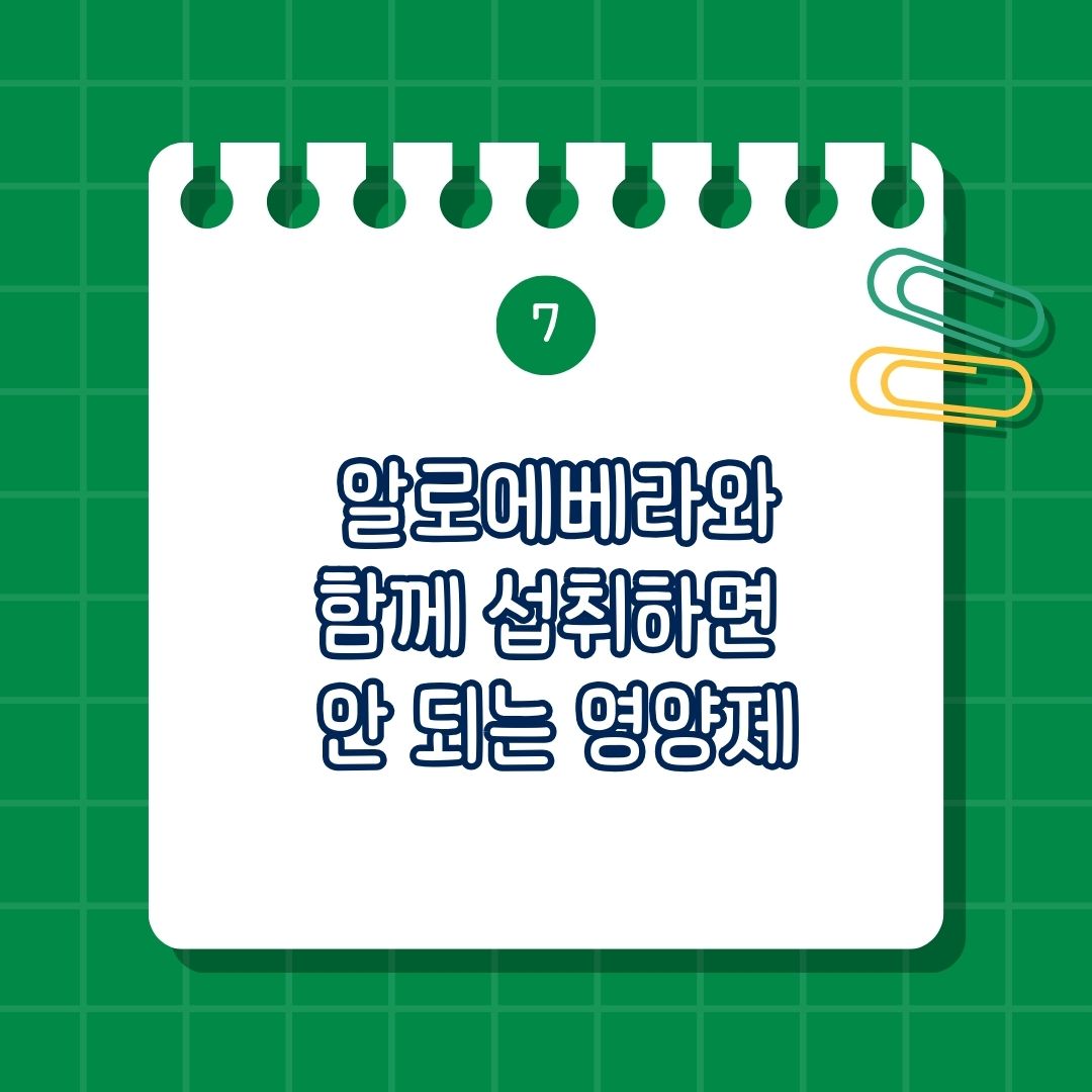 알로에 베라 함께 섭취하면 안 되는 영양제, 함께 복용하면 안 좋은 성분, 같이 먹으면 안 되는 영양제