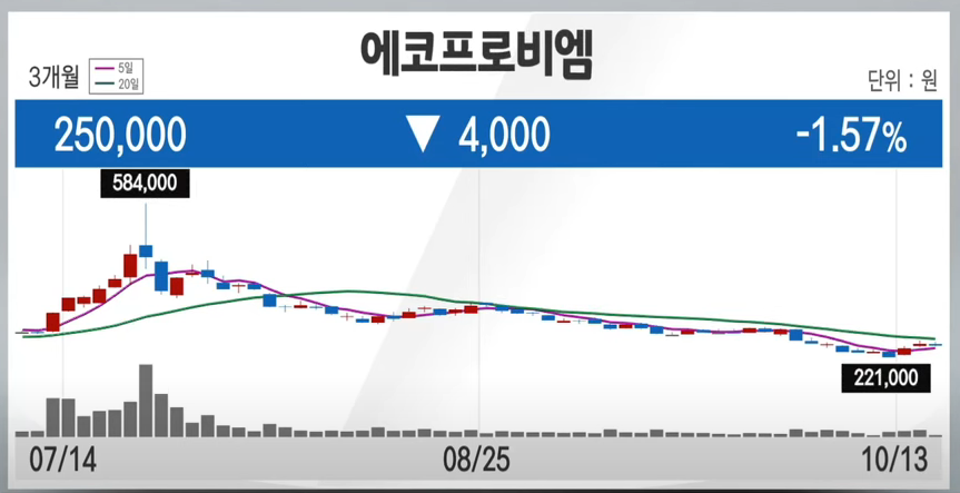 에코프로 비엠 영업실적 3