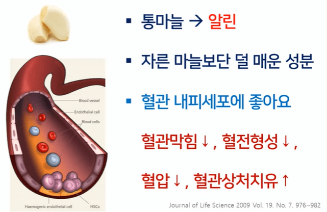 통마늘에는 다양한 영양 성분이 들어있다