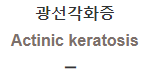  광선각화증 [Actinic keratosis]