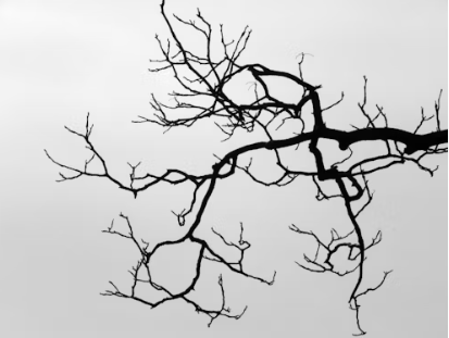 linked memory