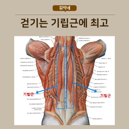 허리 삐끗했을 때