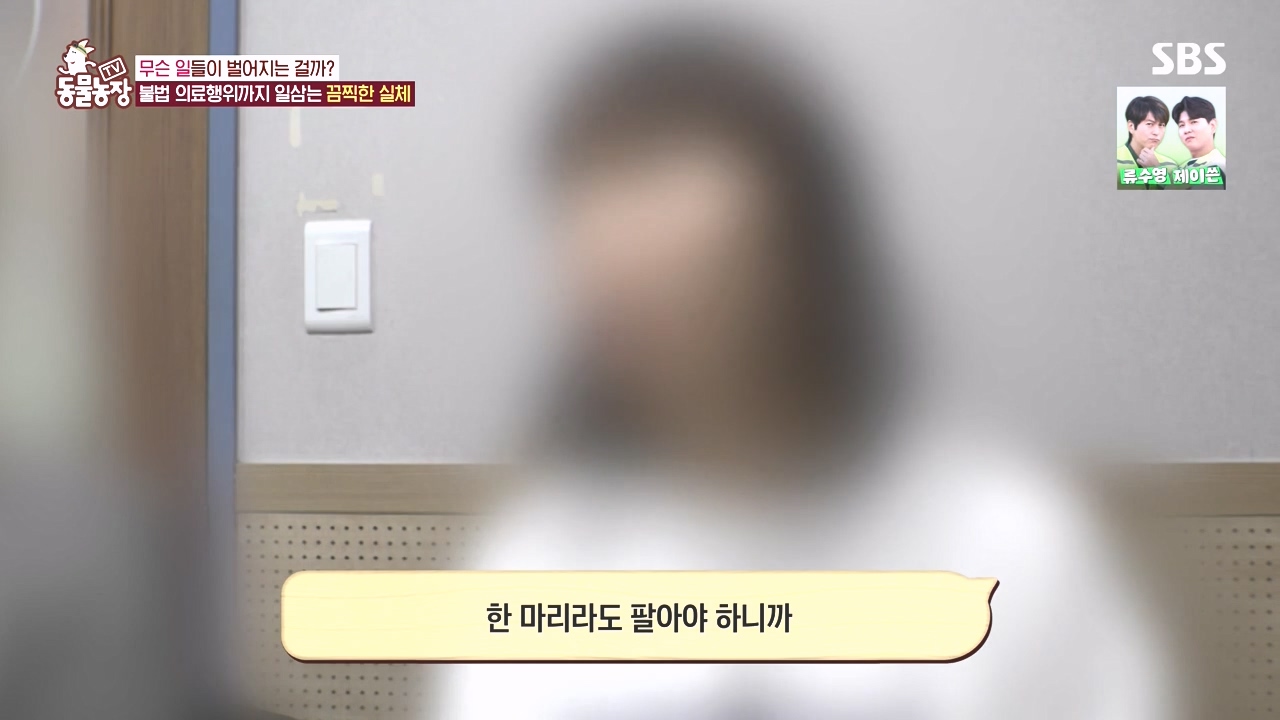 TV 동물농장.E1142.231023p-NEXT.mp4_20231022_172328.558.jpg