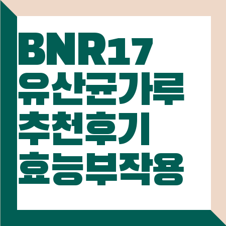 BNR17 유산균