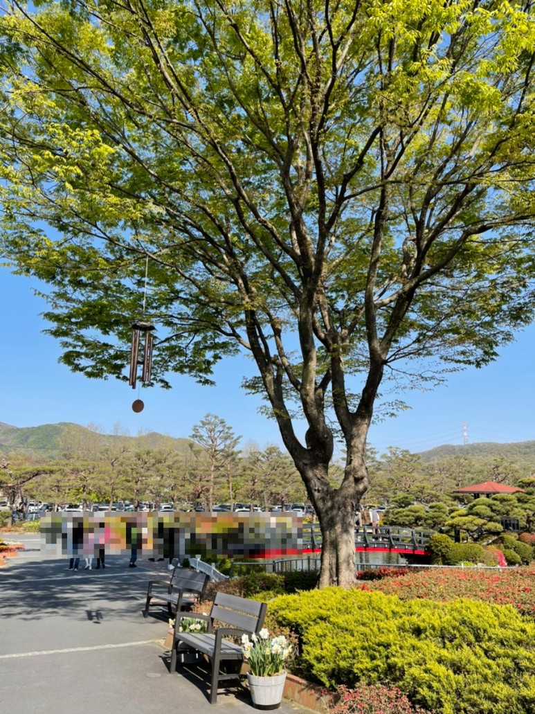 세종 가볼만한곳세종 가볼만한곳베어트리파크 7