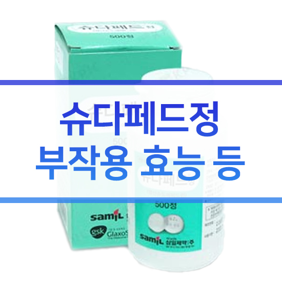  슈다페드정 부작용 효능 정리