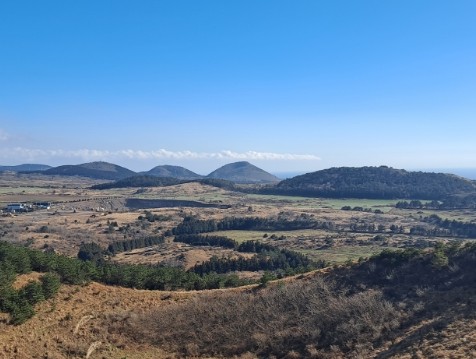 정물 당오름, 오름 그리고 금악오름 20