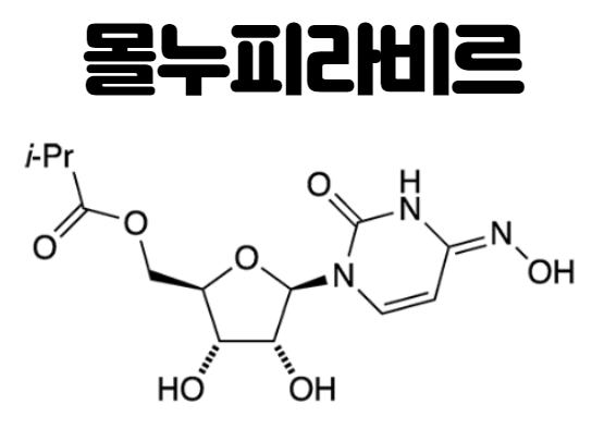 몰누피라비르