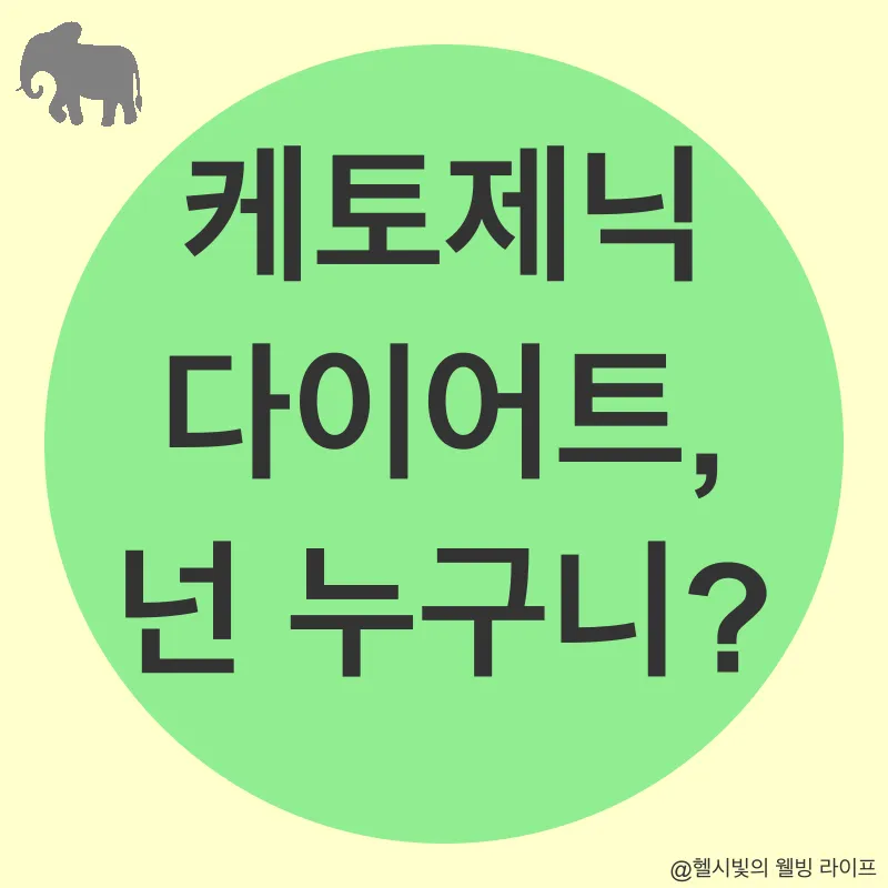 건강한 식단_2