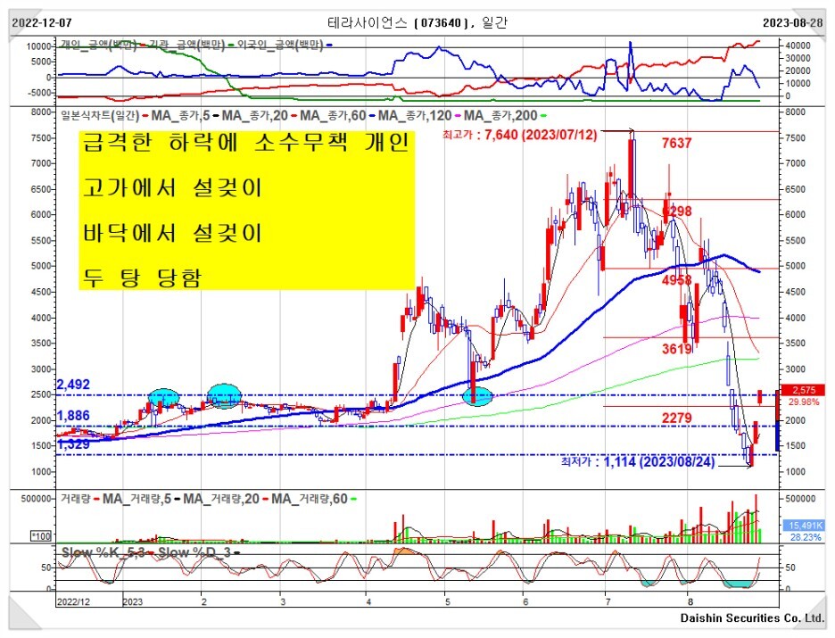 테라사이언스 일봉 차트, 개인들에게 물량 떠넘기는 외국인의 주가 다루는 움직임