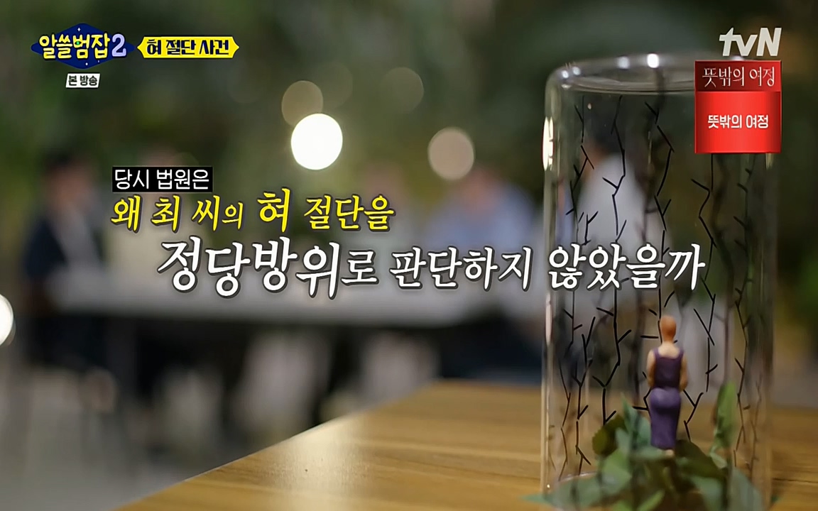 알쓸범잡 2.E16.220502p-NEXT.mp4_20220502_180155.709.jpg