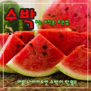 싱싱하고-빨간-수박