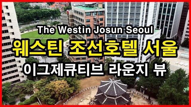  웨스틴 조선호텔 서울 이그제큐티브 라운지 뷰 | 소공동 Seoul Hotel | Westin Josun Seoul Executive Lounge