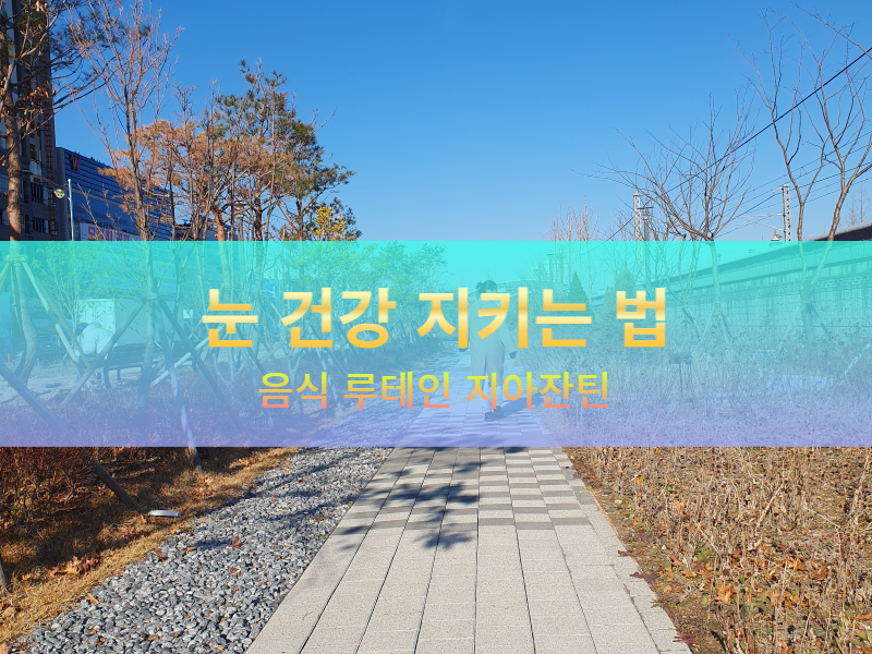  50대 눈 건강 뻑뻑한 눈이 걱정이라면 보조제와 째려보기