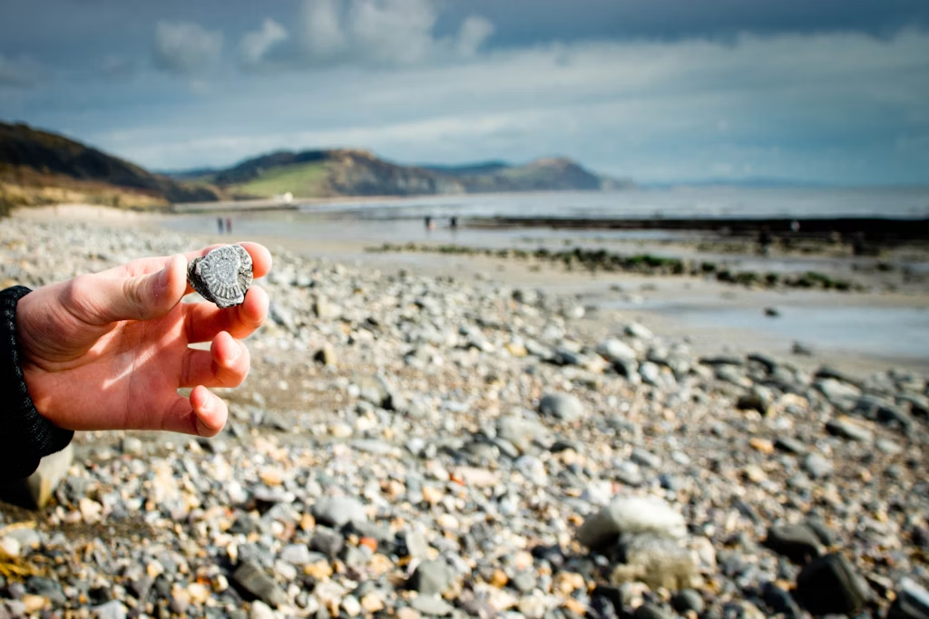 겨울에-방문하기-좋은-세계-최고의-해변-Charmouth-Beach_-United-Kingdom