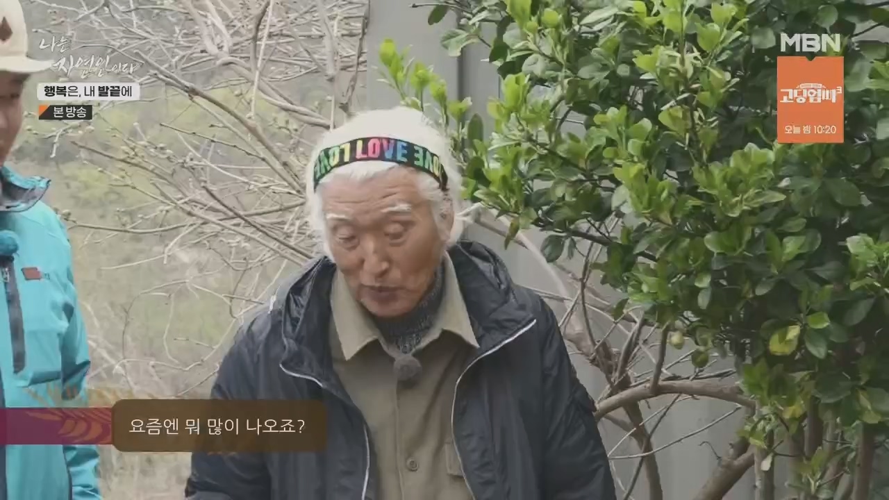 나는 자연인이다.E551.230427p.H264-F1RST.mp4_20230427_200325.470.jpg
