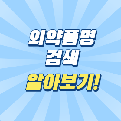  의약품명 검색 알아보기