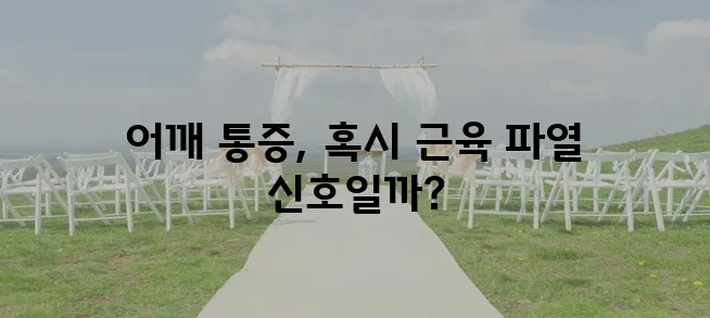 어깨 근육 파열 증상과 원인 꼼꼼히 알아봅시다!