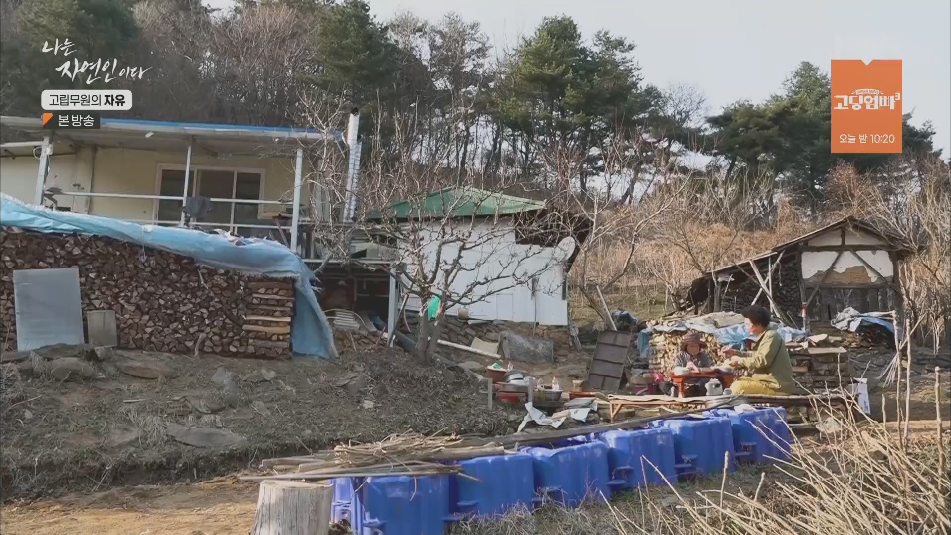 나는 자연인이다.E549.230412p.H264-F1RST.mp4_20230413_213157.244.jpg