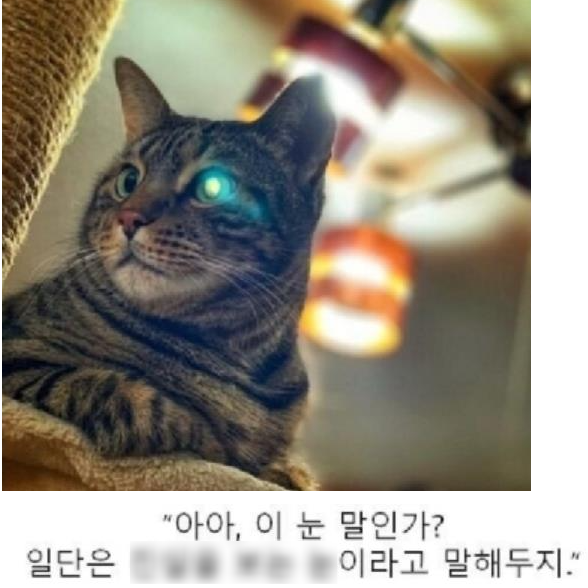  중2병 만화 클리셰 동물 버전 총 집합
