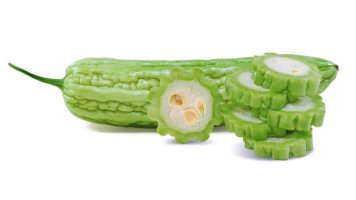 여주의 효능(10종) 25