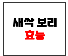  새싹 보리 분말 효능