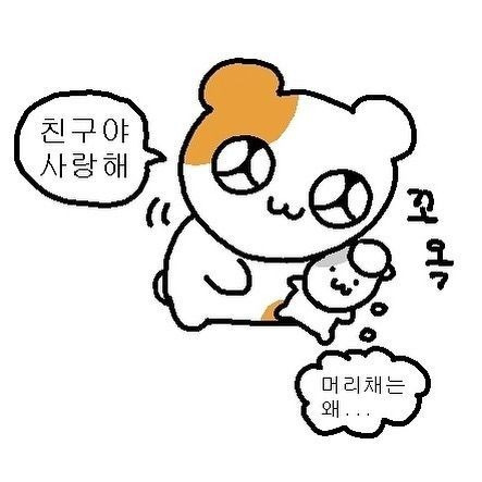 워킹홀리데이 이미지