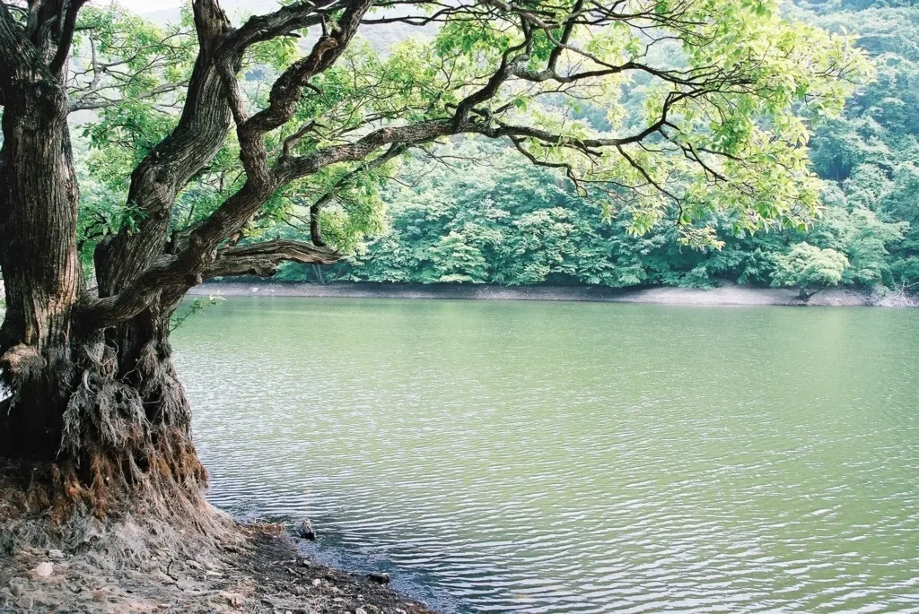 주산지1