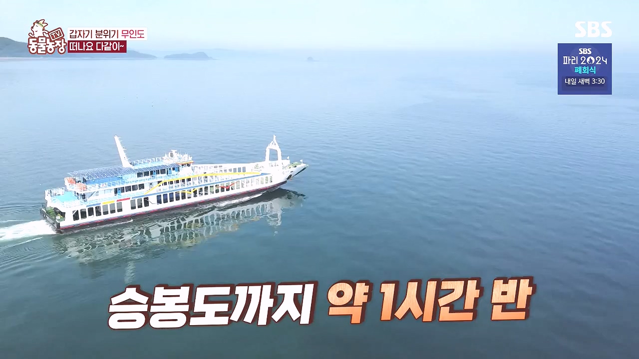 TV 동물농장.E1184.240812p-NEXT.mp4_20240811_172455.893.jpg