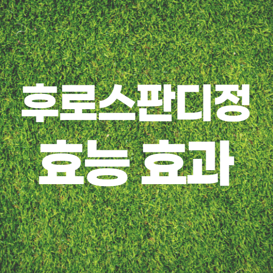  후로스판디정 효과, 효능 제대로 알고 복용하자