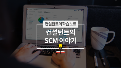 컨설턴트의 SCM 이야기