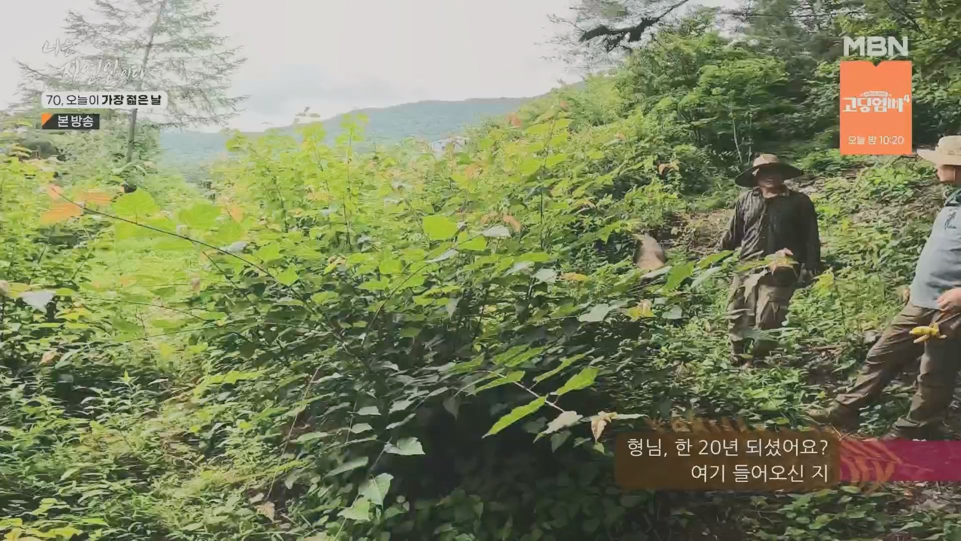 나는 자연인이다.E565.230802p.H264-F1RST.mp4_20230803_203355.602.jpg