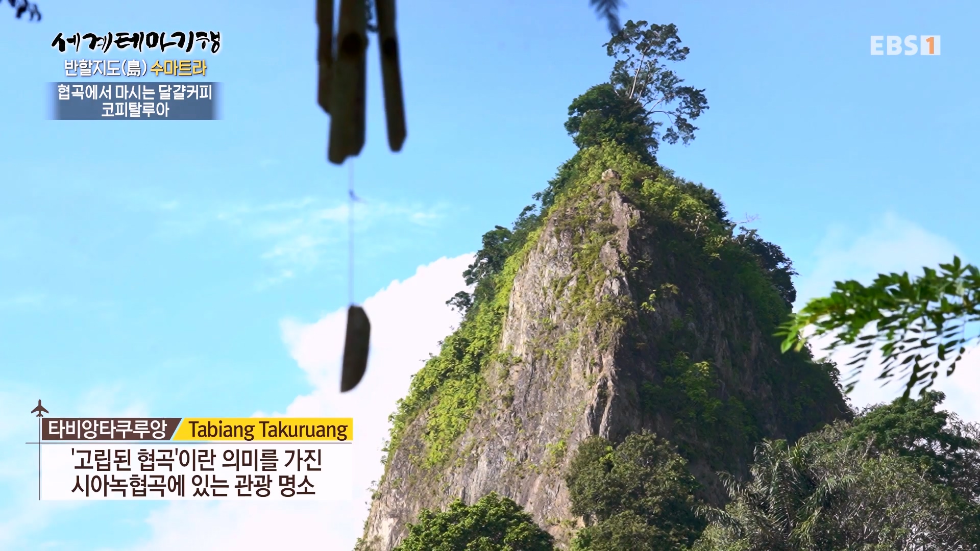 세계테마기행.230803.반할지도(島) 수마트라-4.미낭카바우에 반하다.mp4_20230820_131537.176.jpg