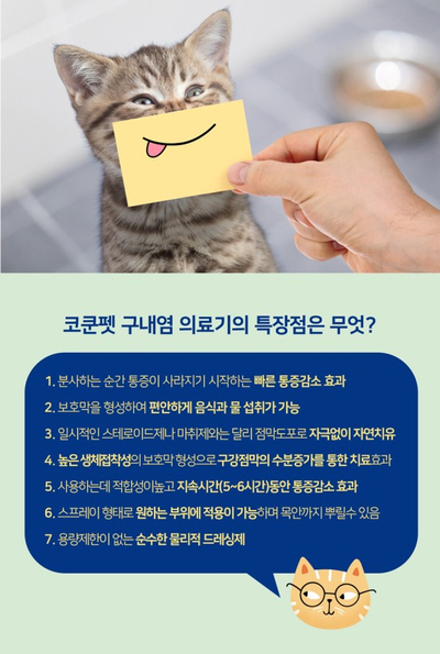 고양이 입속 구내염 치료약