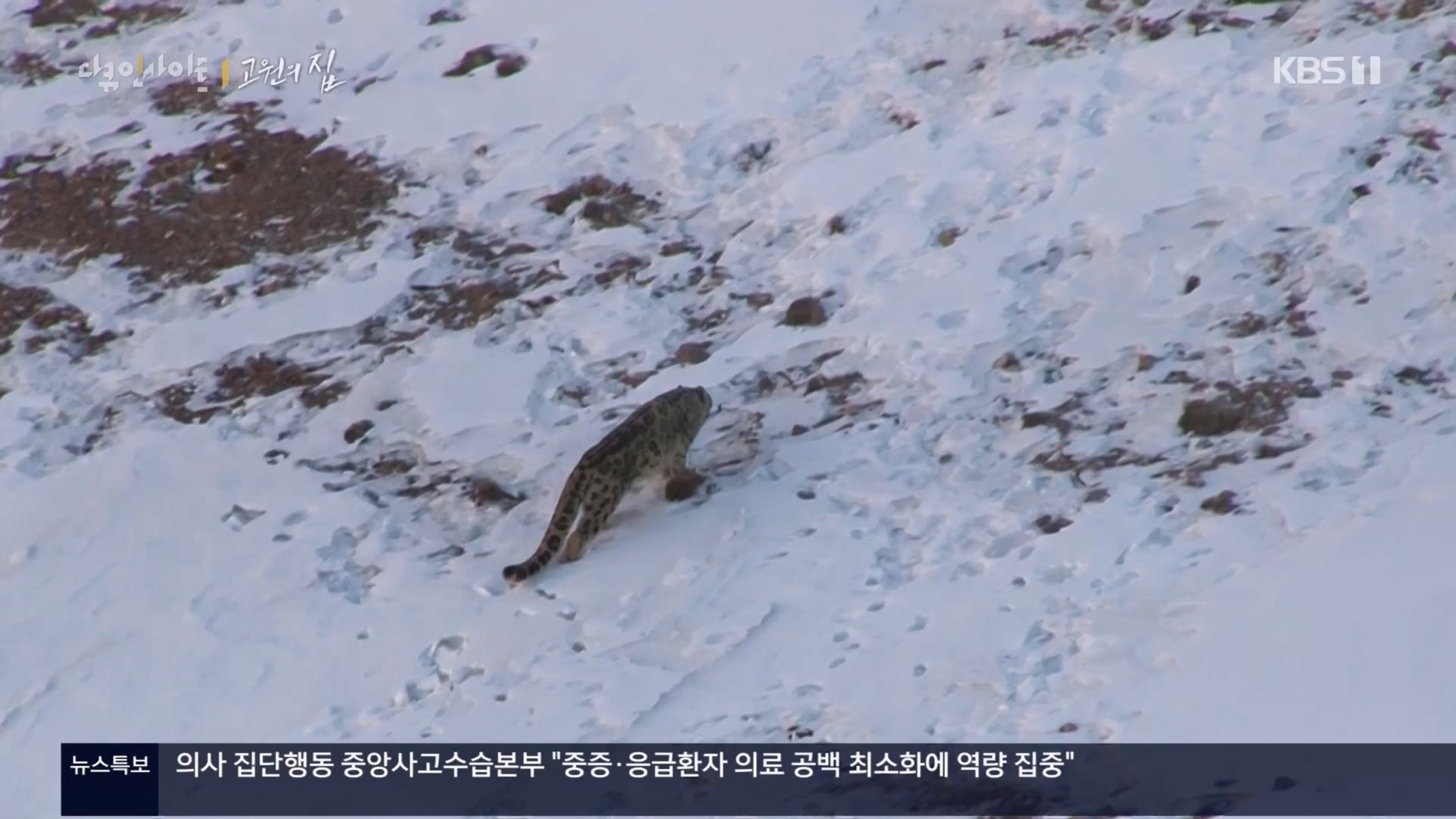 다큐 인사이트.E176.240328p.H264-F1RST.mp4_20240330_162902.916.jpg