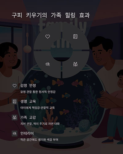 구피 키우기의 가족 힐링 효과