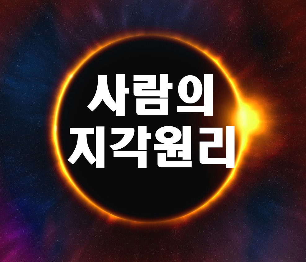  사람의 지각 원리를 심리학적 개념을 통해 설명하고, 이러한 이론을 바탕으로 자신이 전달하고자 하는 메시지가 상대방에게 잘 지각될 수 있는 구체적이고 실용적인 방안을 3개 이상 제시하..