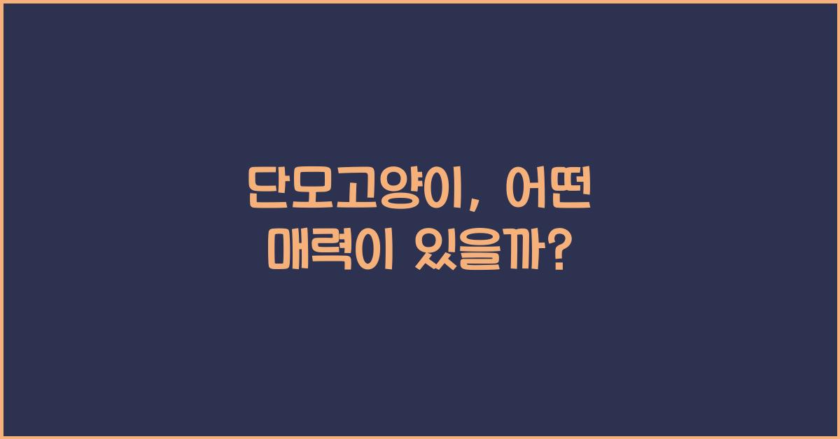 단모고양이
