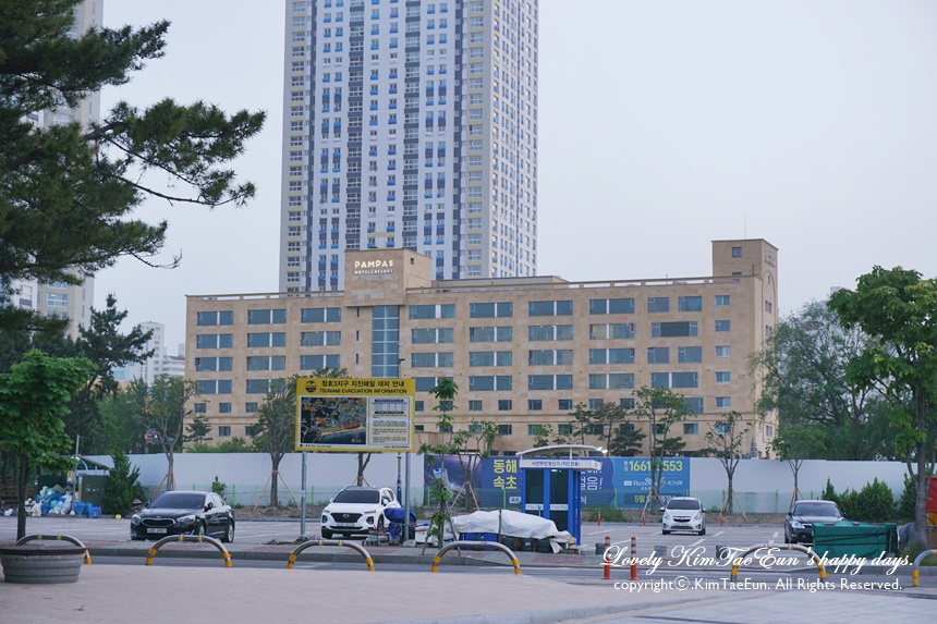 속초 팜파스리조트 강원도 숙소 추천 26