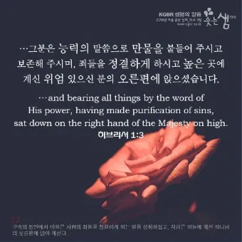 히브리서 3장 하느님의 성경 묵상_25