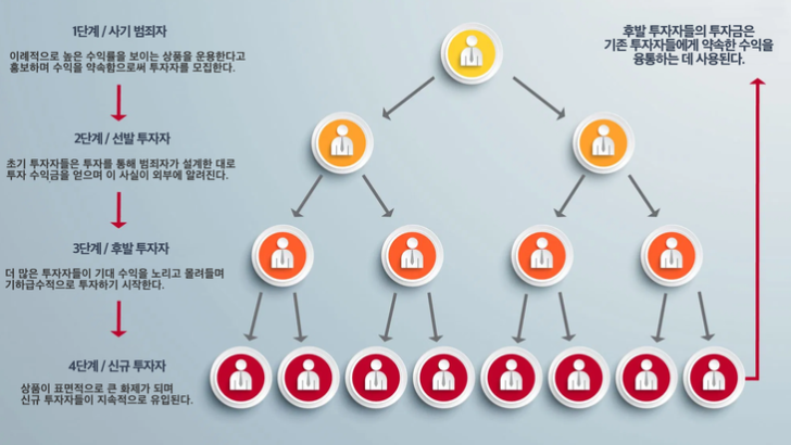  폰지사기란 / 높은수익률 / 루나코인 / 다단계 사기 /  투자사기