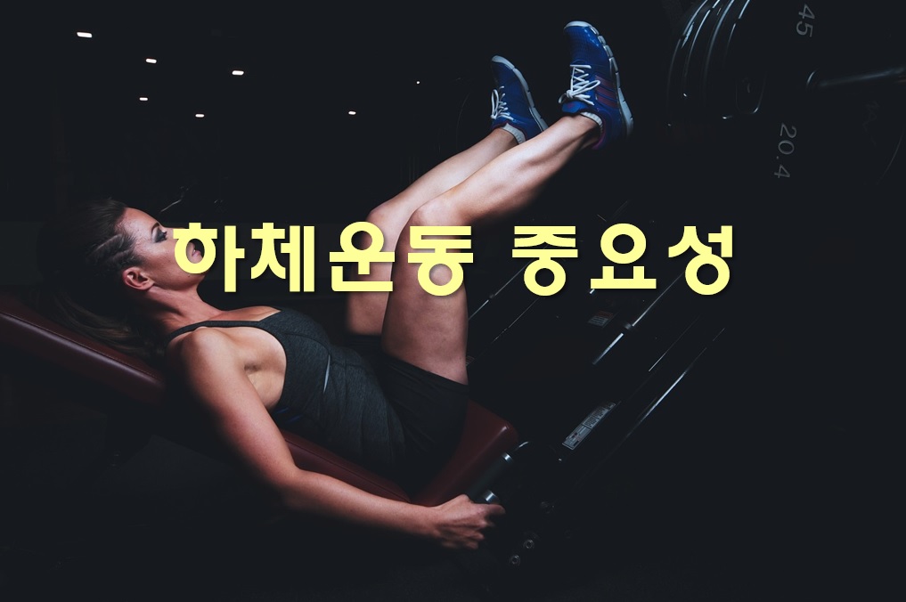  남자 하체운동 루틴과 하체운동 중요성