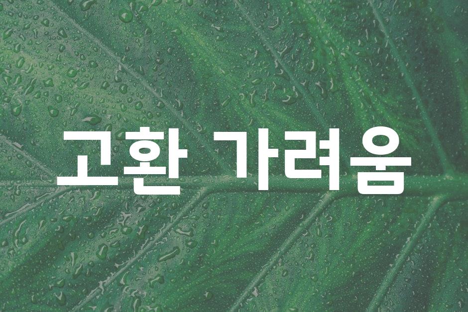 샘플 (44)