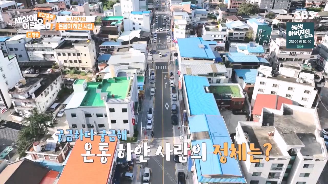 순간포착 세상에 이런일이.E1248.231015p-NEXT.mp4_20231015_164755.700.jpg