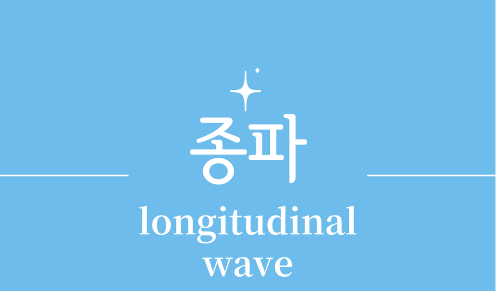 '종파(longitudinal wave)'