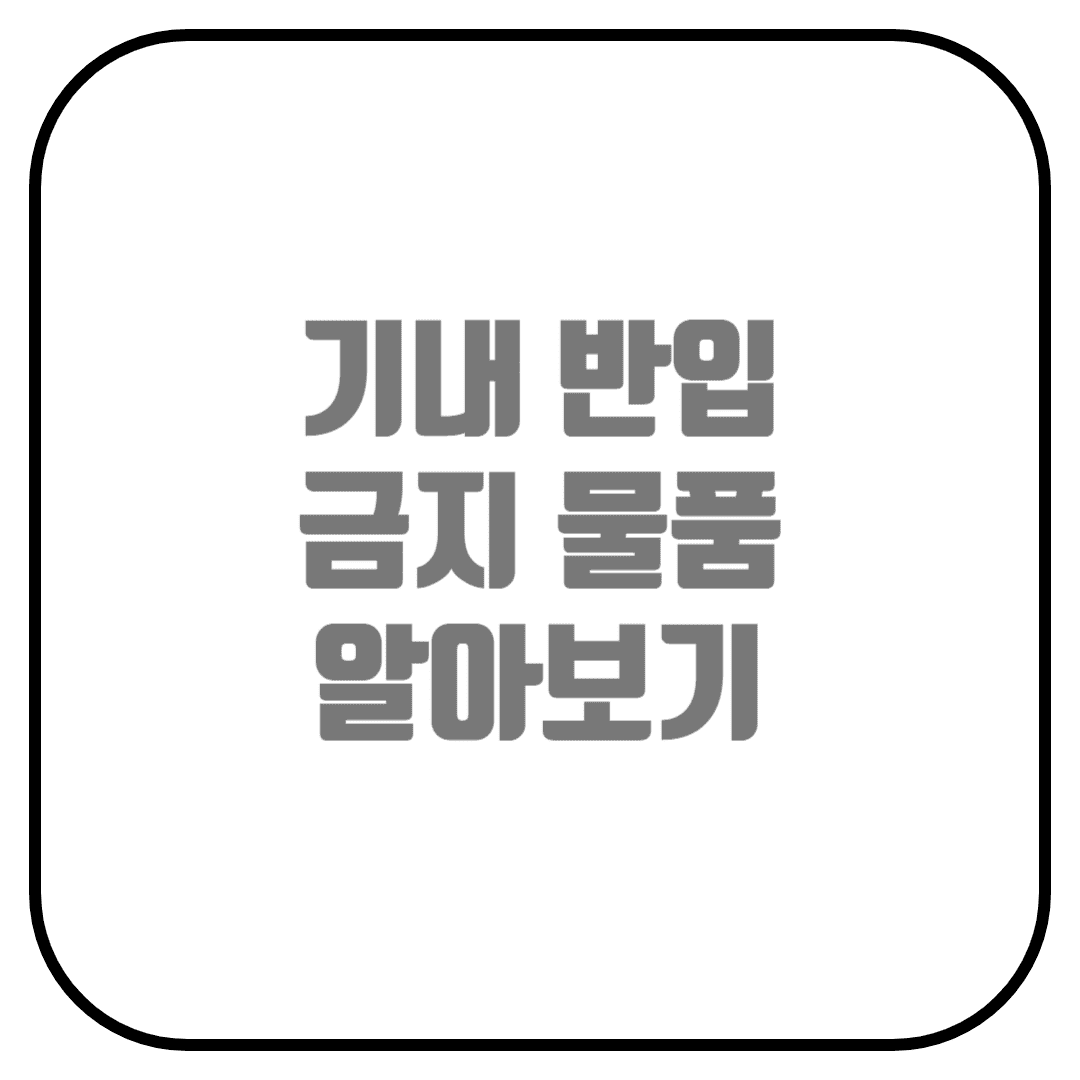  기내 반입 금지 물품 알아보기 (액체류, 전자담배, 라이터, 보조배터리)